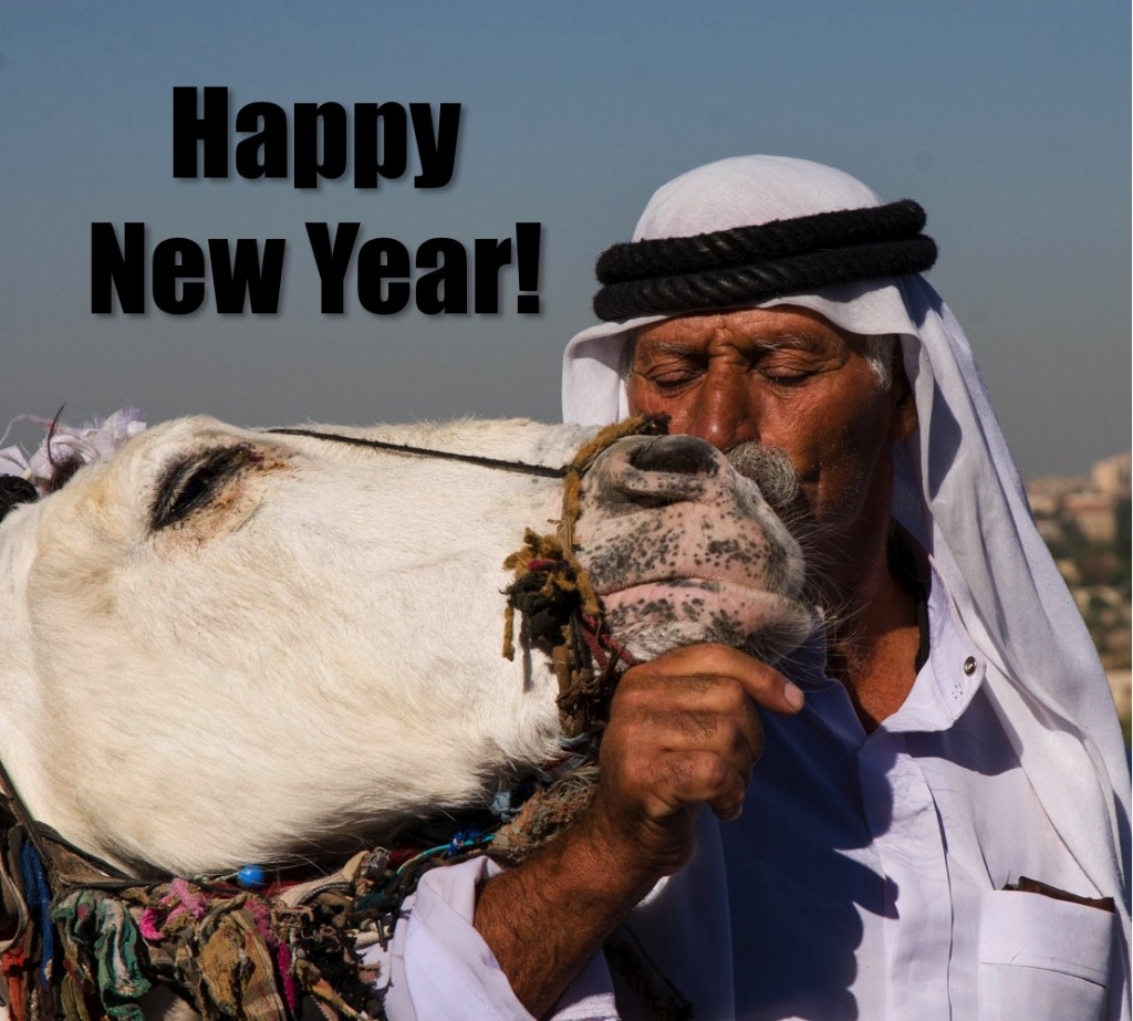 New Year Donkey
