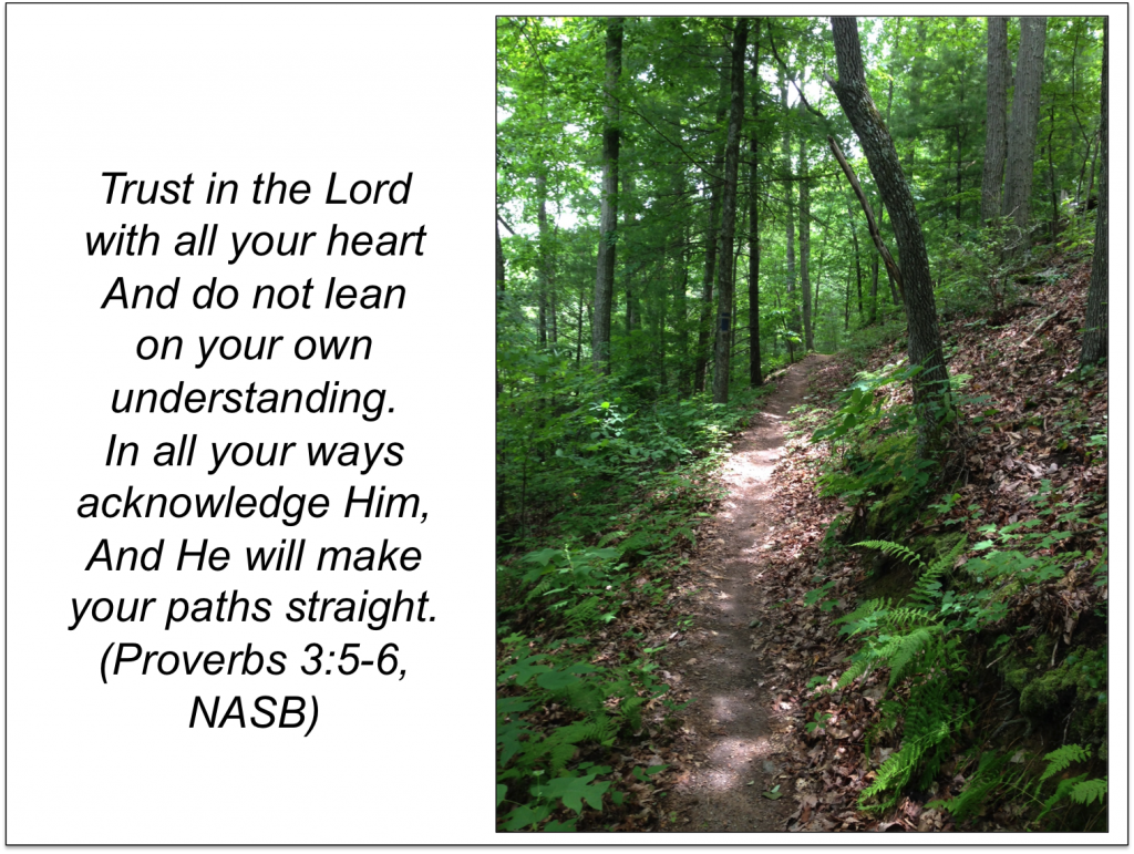 Proverbs 3 5 6 Path